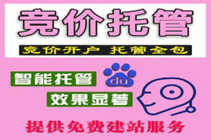 百度运营推广策略解析，热门案例深度剖析